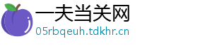 一夫当关网